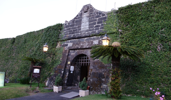 DSC06033