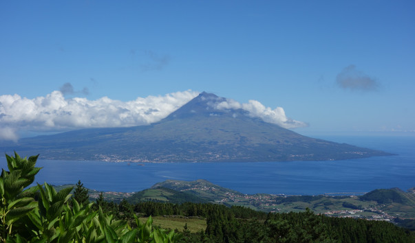 DSC05820