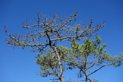 photo 1688171