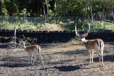 photo 1688173