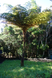 photo 1688174