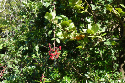 photo 1688175