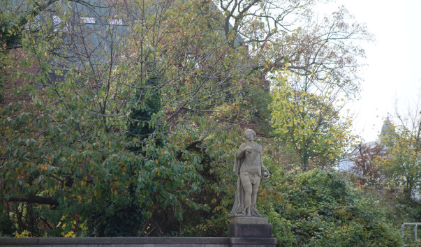 DSC08243