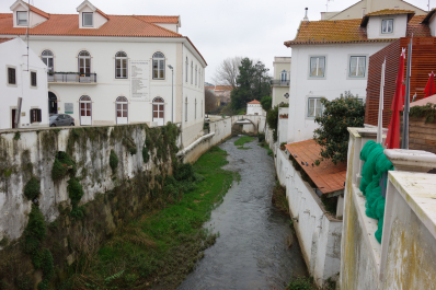 photo 1732295