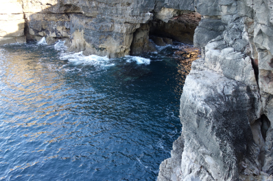 photo 1732761