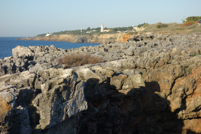 photo 1732764