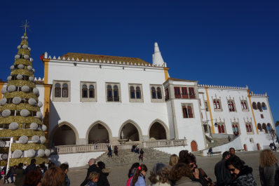 photo 1732785