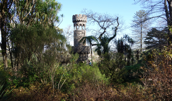 DSC09731