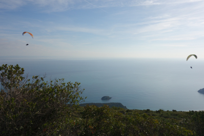 photo 1732906