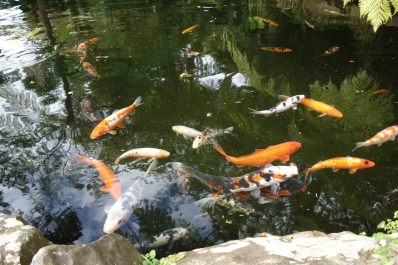 photo 1734060