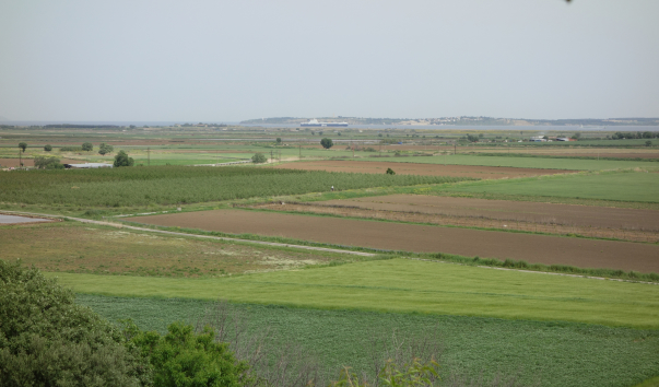DSC02912