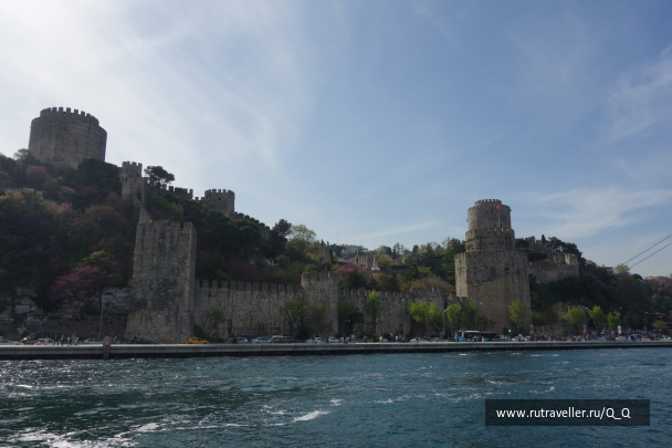 photo 1767965