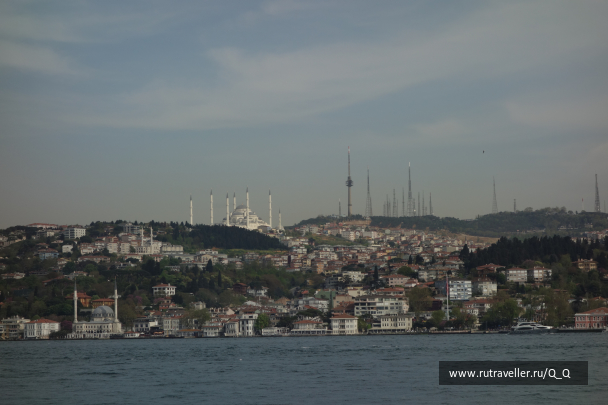 photo 1767967