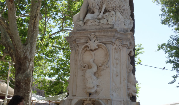 DSC03637