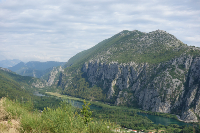 photo 1784403