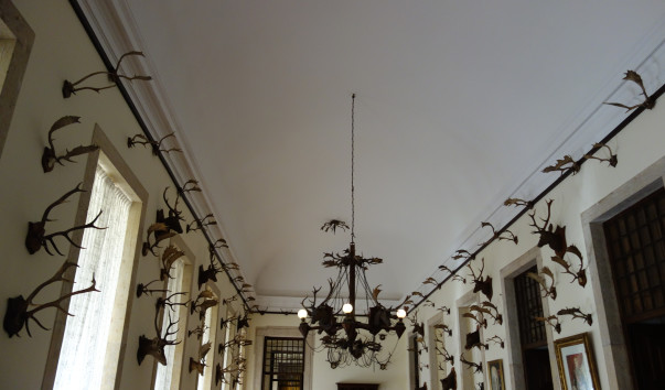 DSC05538