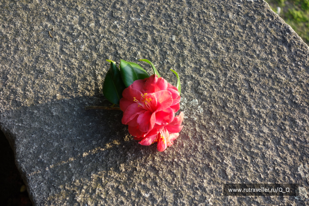 photo 1821949