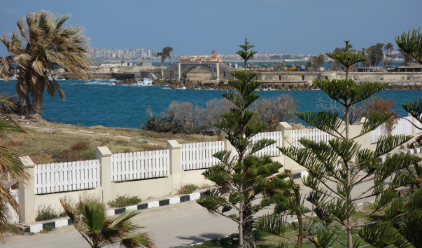 DSC09491
