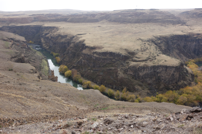 photo 2027669