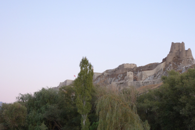 photo 2027681