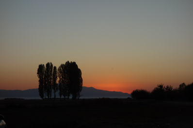 photo 2027682
