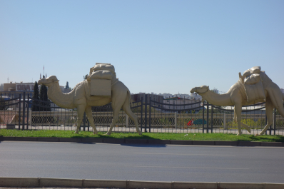 photo 2027712