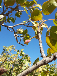 photo 2027713