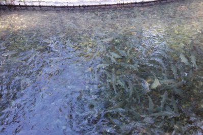 photo 2028340