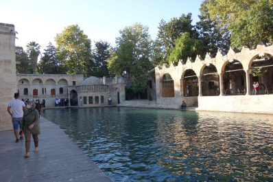 photo 2028342