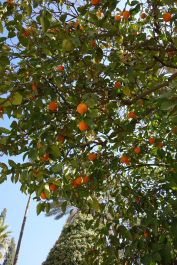 photo 2049197