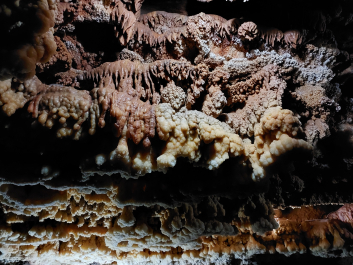 photo 2068917