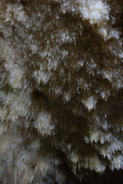 photo 2068957
