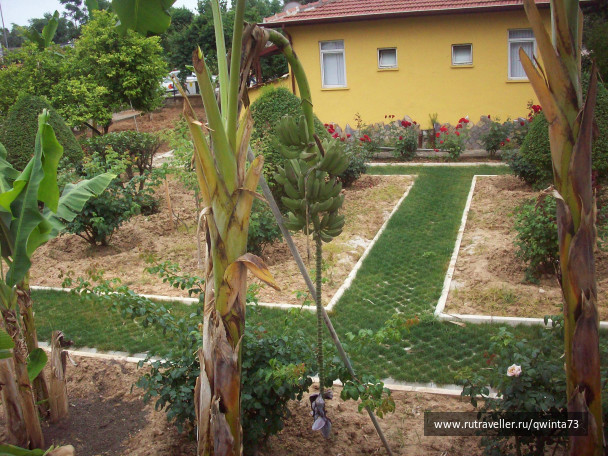 photo 299432