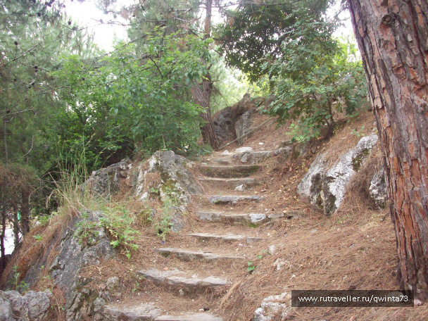 photo 299433