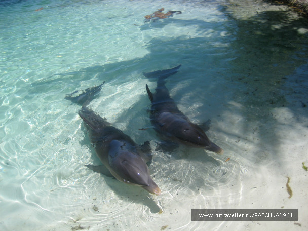 photo 265592