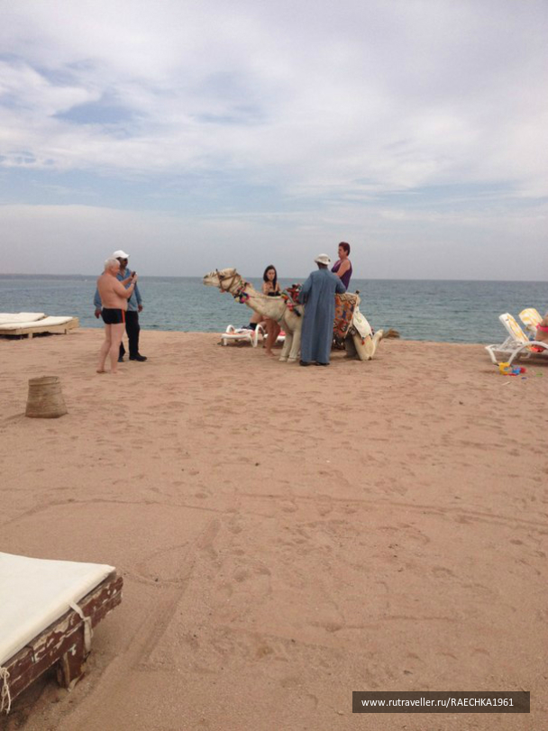 photo 619777