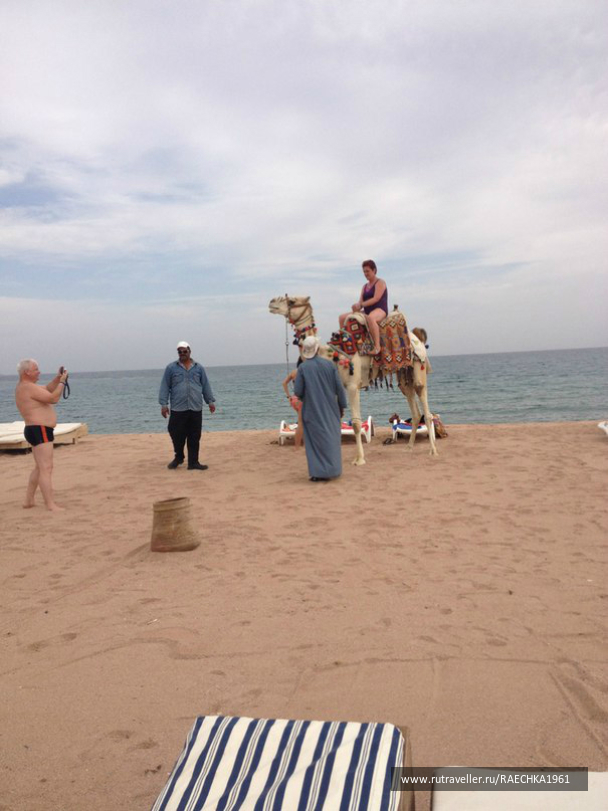 photo 619779