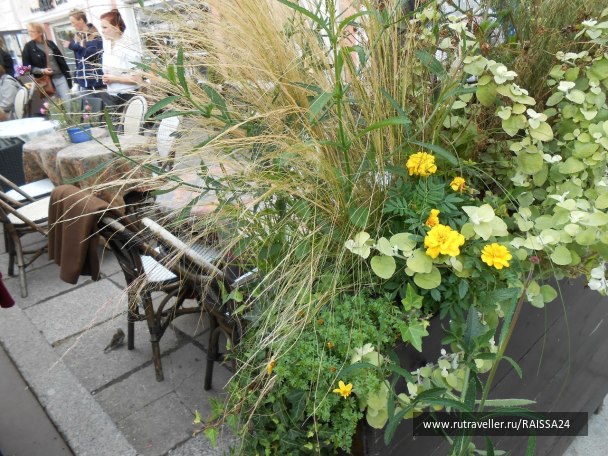 photo 1043787