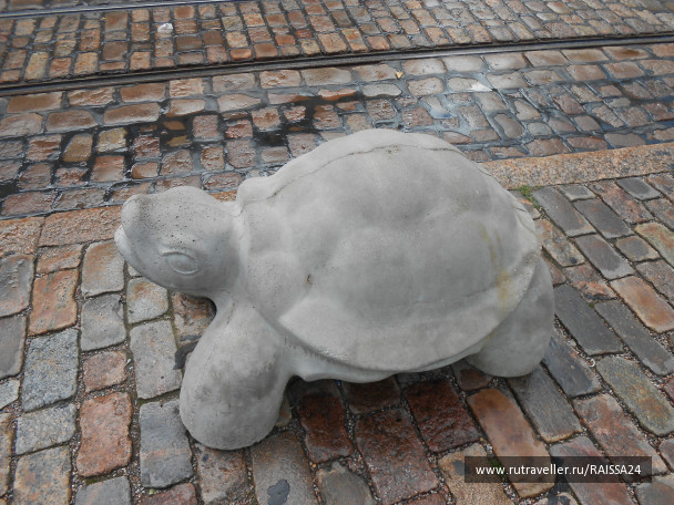 photo 1047030