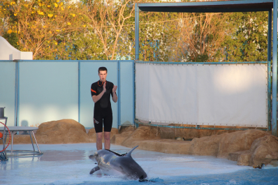 photo 1045829