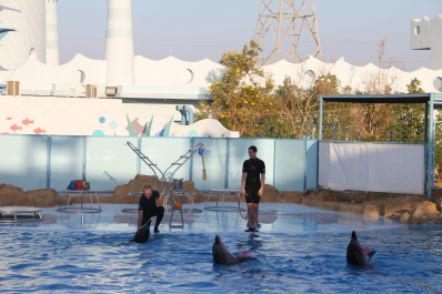 photo 1045841