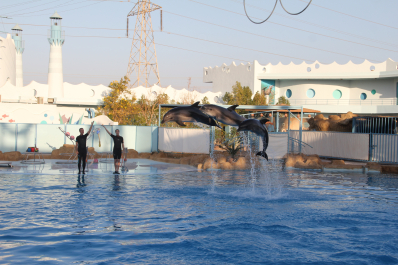 photo 1045854