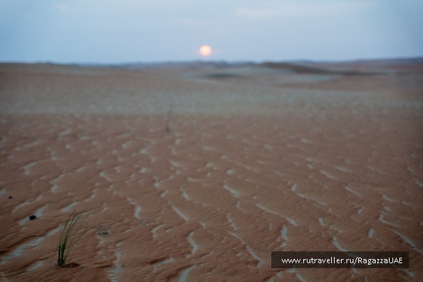 photo 1126101