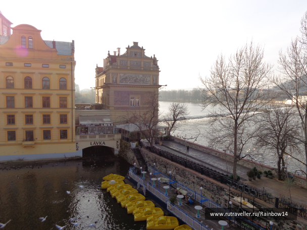 photo 1182668
