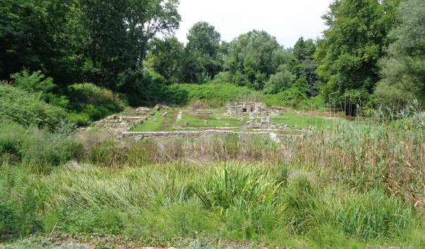 DSC01710
