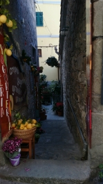 photo 861926