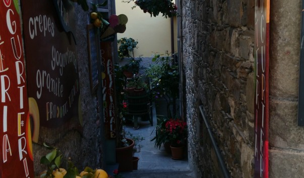 DSC_1004
