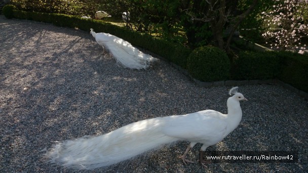 photo 861940