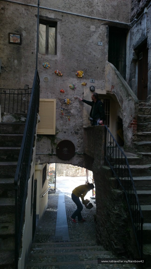 photo 861945
