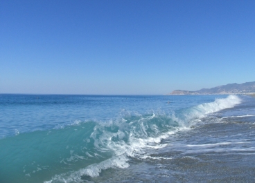 photo 873662